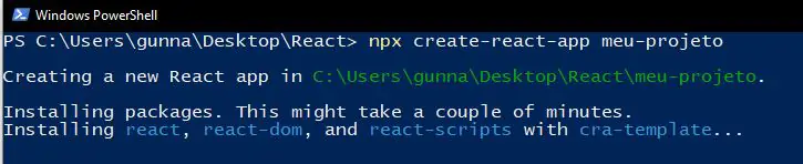Criando um novo projeto React com NPX.